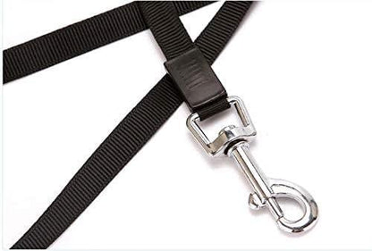 500 cm Dog & Cat Strap Leash – Multicolor, Strong & Tangle-Free