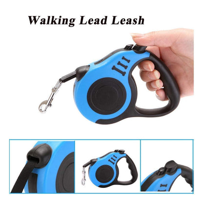 500 cm Dog & Cat Strap Leash – Multicolor, Strong & Tangle-Free
