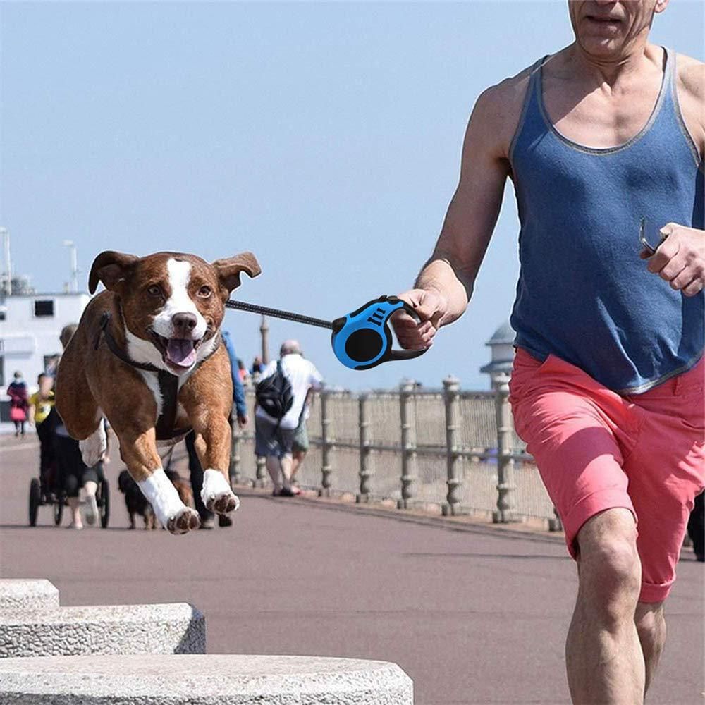 500 cm Dog & Cat Strap Leash – Multicolor, Strong & Tangle-Free